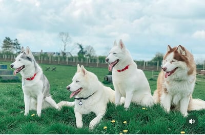 Hunter & Sky +2