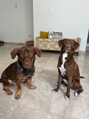 Milo André & Mila Zoé