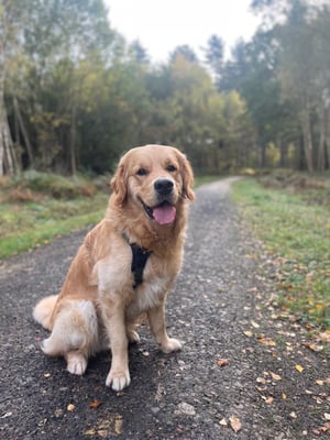 Rory