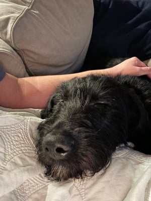 Ellie