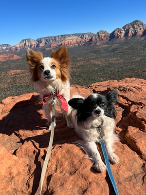 Niko & Pixie