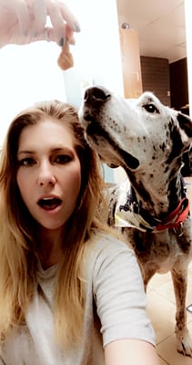 Onyx & Lucy +1