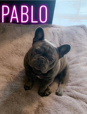 Pablo