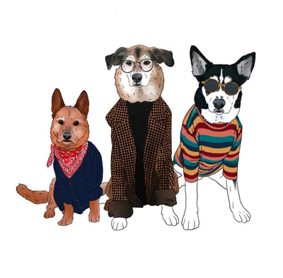 Foxy & Frankie +1