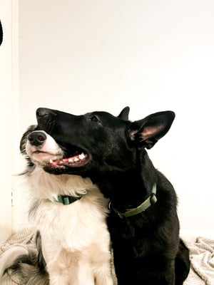 Mason & Nova