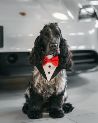 Milo