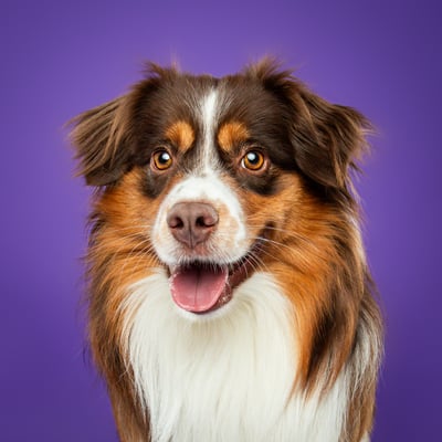 Pixel