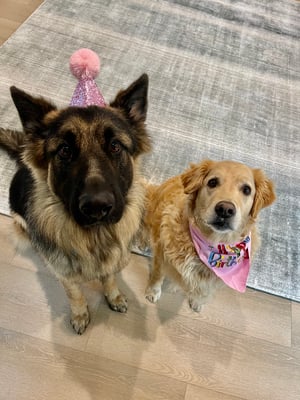 Kobe and Hunny