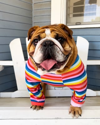 Mojo