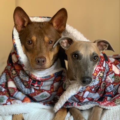 Harley & Zola
