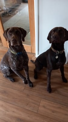 Herbie&Sage