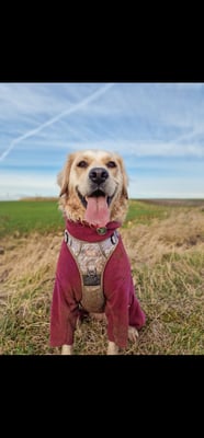 Bella