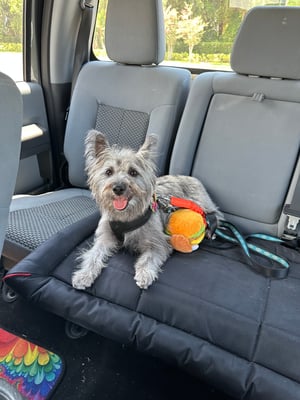 Maggie Sunshine