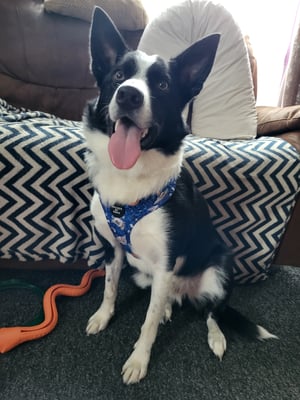 Patch