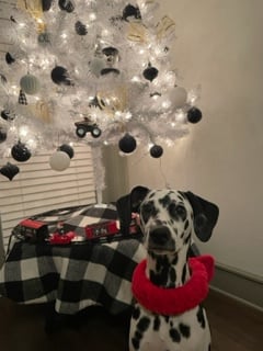 Princess Snoopy