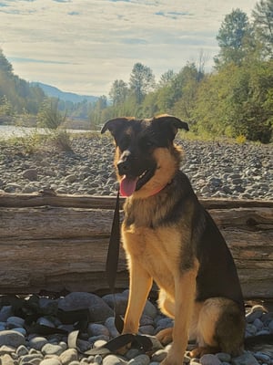 Xena
