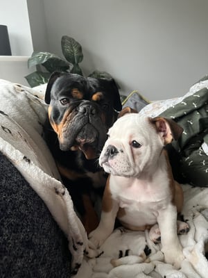 Marnie & Margo