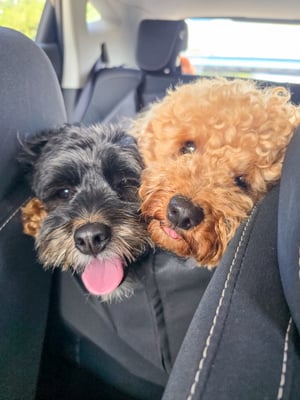 Rufus & Ralph