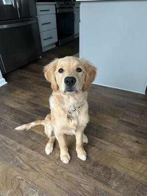 Remi