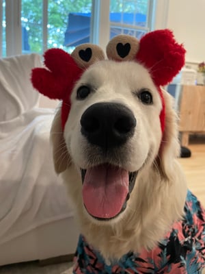 Georgie