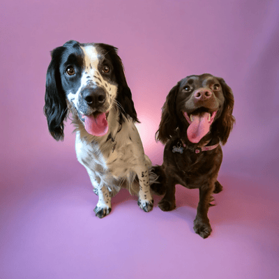 Belle and Lottie