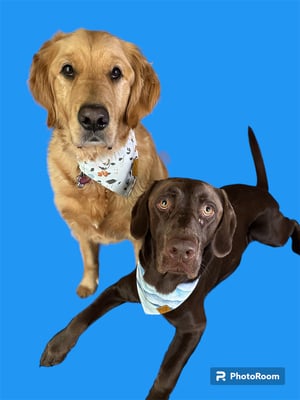 Luna & Shilo