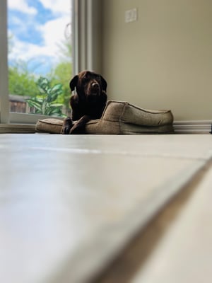 Diesel