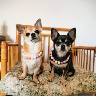 Eddie & Milo