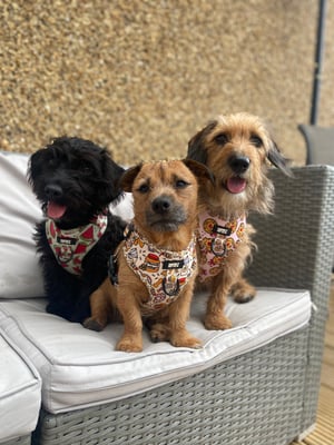 Brian, sootsie & Lyla