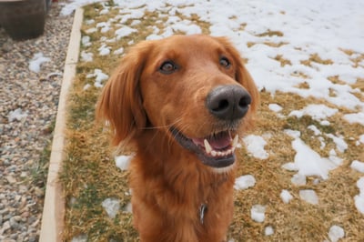 Murphy