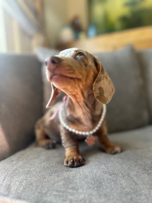 Beatrix & Winston