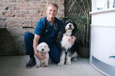 Veterinary Surgeon, TV Presenter and Social Media Influencer