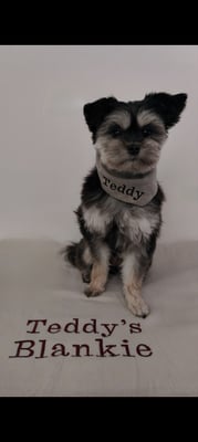 Teddy