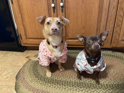Mildred & Zeus