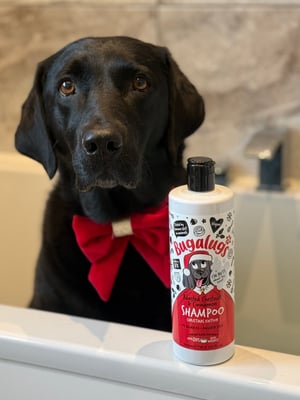 Maggie