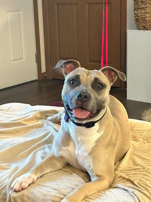 Maggie