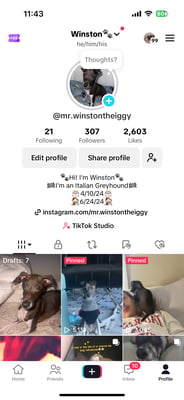 Winston