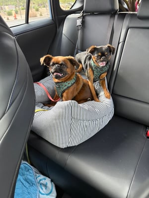 Walter & Clark