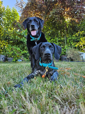Maisy and Raven