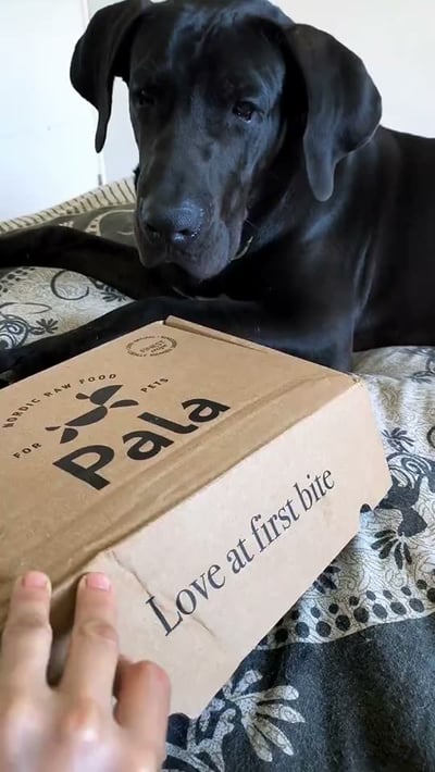 @tuko_presacanario
