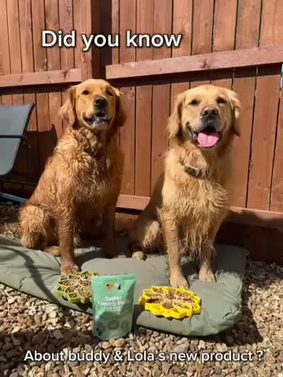 @buddyandlolauk