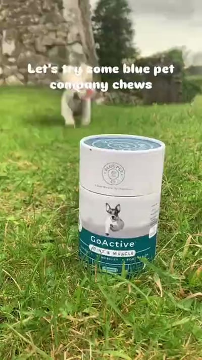 @maisie.jacktese