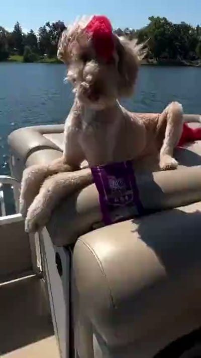 @breckindoodle.17