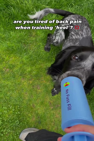 @nofussfill
