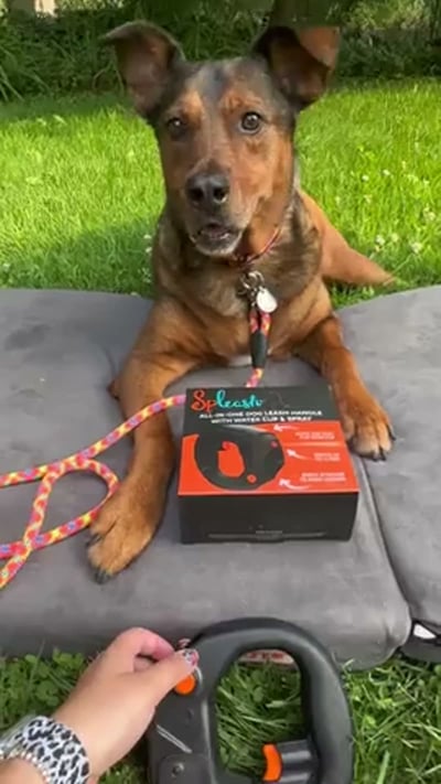 @spleash_your_leash