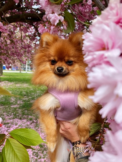 Lifestyle Photo Set