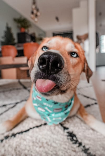 Lifestyle Photo Set