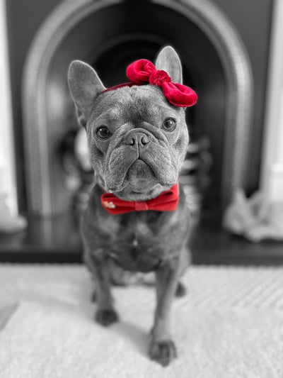 Lifestyle Photo Set