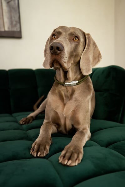 Lifestyle Photo Set