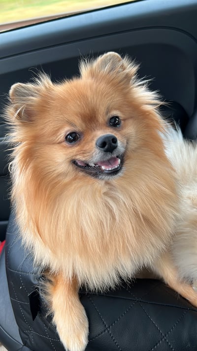 Lifestyle Photo Set